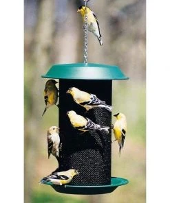 Woodlink Magnum Thistle Seed Bird Feeder Hanging Feeders