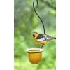 Parasol Mandarin Recycled Glass Oriole Feeder, Medium Hanging Feeders