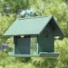 Songbird Essentials Mealworm Bird Feeder, Hunter Green