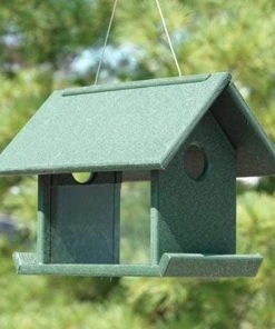 Songbird Essentials Mealworm Bird Feeder, Hunter Green