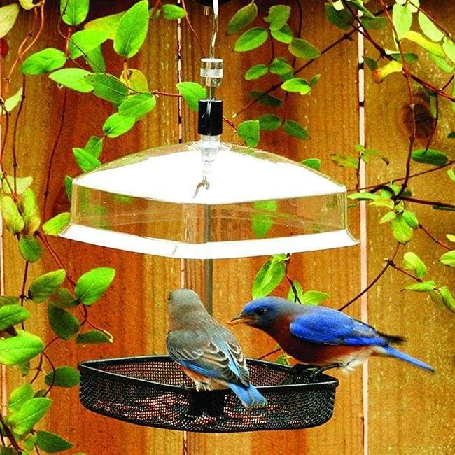 Gardman Mealworm Feeding Tray Hanging Feeders 5 Gardman Mealworm Feeding Tray Hanging Feeders