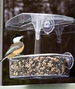 Droll Yankees Window Feeders Observer Window Bird Feeder