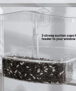 Droll Yankees Window Feeders Observer Window Bird Feeder