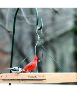 Woodlink 3 In 1 Platform Bird Feeder Hanging Feeders