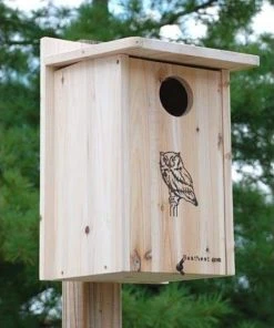 BestNest Premium Screech Owl House Or Kestrel House Post / Pole Mounted Houses