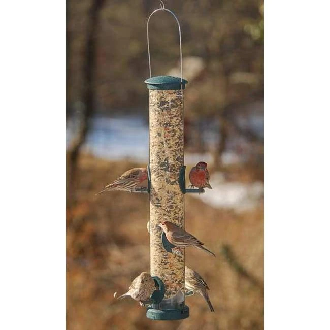 Aspects Hanging Feeders Quick-Clean Seed Tube Bird Feeder, Large Spruce 3 Aspects Hanging Feeders Quick-Clean Seed Tube Bird Feeder, Large Spruce