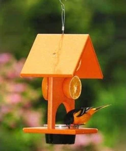 Songbird Essentials Hanging Feeders Recycled Plastic Fruit & Jelly Feeder