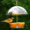 Droll Yankees Seed Saver Domed Bird Feeder Hanging Feeders
