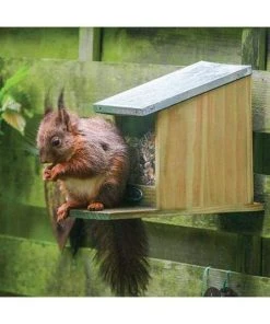 Squirrel Feeder By Esschert Design