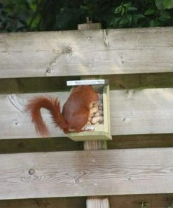 Squirrel Feeder By Esschert Design