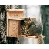 Squirrel Feeder By Woodlink Squirrels