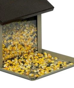 Stokes Select Squirrel Lunch Box