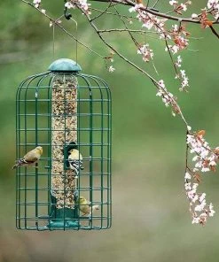 Stokes Select Squirrel Resistant Bird Feeder Cage Feeders
