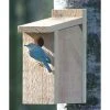 Looker Products View Thru Bluebird House 1 Looker Products View Thru Bluebird House