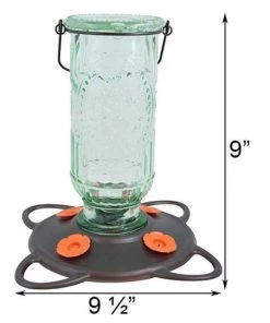 More Birds Vintage Bottle Oriole Feeder Hanging Feeders