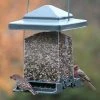 Heritage Farms Hanging Feeders Vista Squirrel Proof Bird Feeder