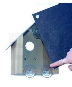 Looker Products Window Bird House All Bird Houses