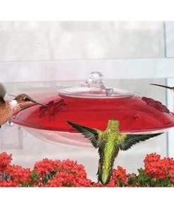Droll Yankees Window Hummer III Hummingbird Feeder Hummingbird Feeders