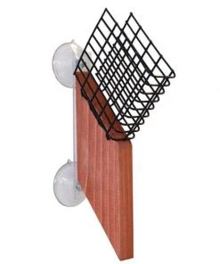 Looker Products Window Suet Feeder With Tail Prop Suet Feeders