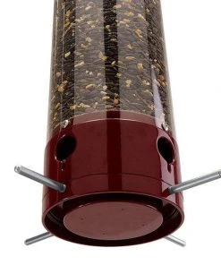 Droll Yankees Hanging Feeders Yankee Dipper Squirrel Proof Bird Feeder