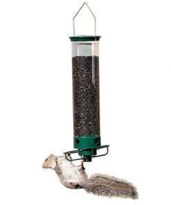 Droll Yankees Hanging Feeders Yankee Flipper Squirrel Proof Bird Feeder