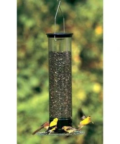 Droll Yankees Hanging Feeders Yankee Tipper Squirrel Proof Bird Feeder